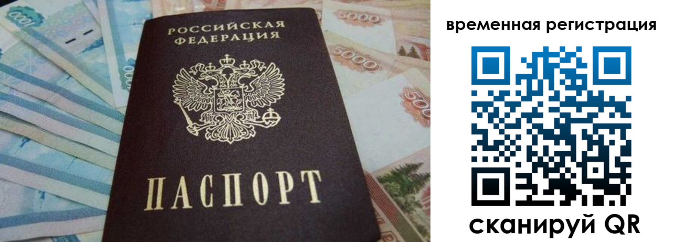 временная регистрация гарантия в Красном Сулине
